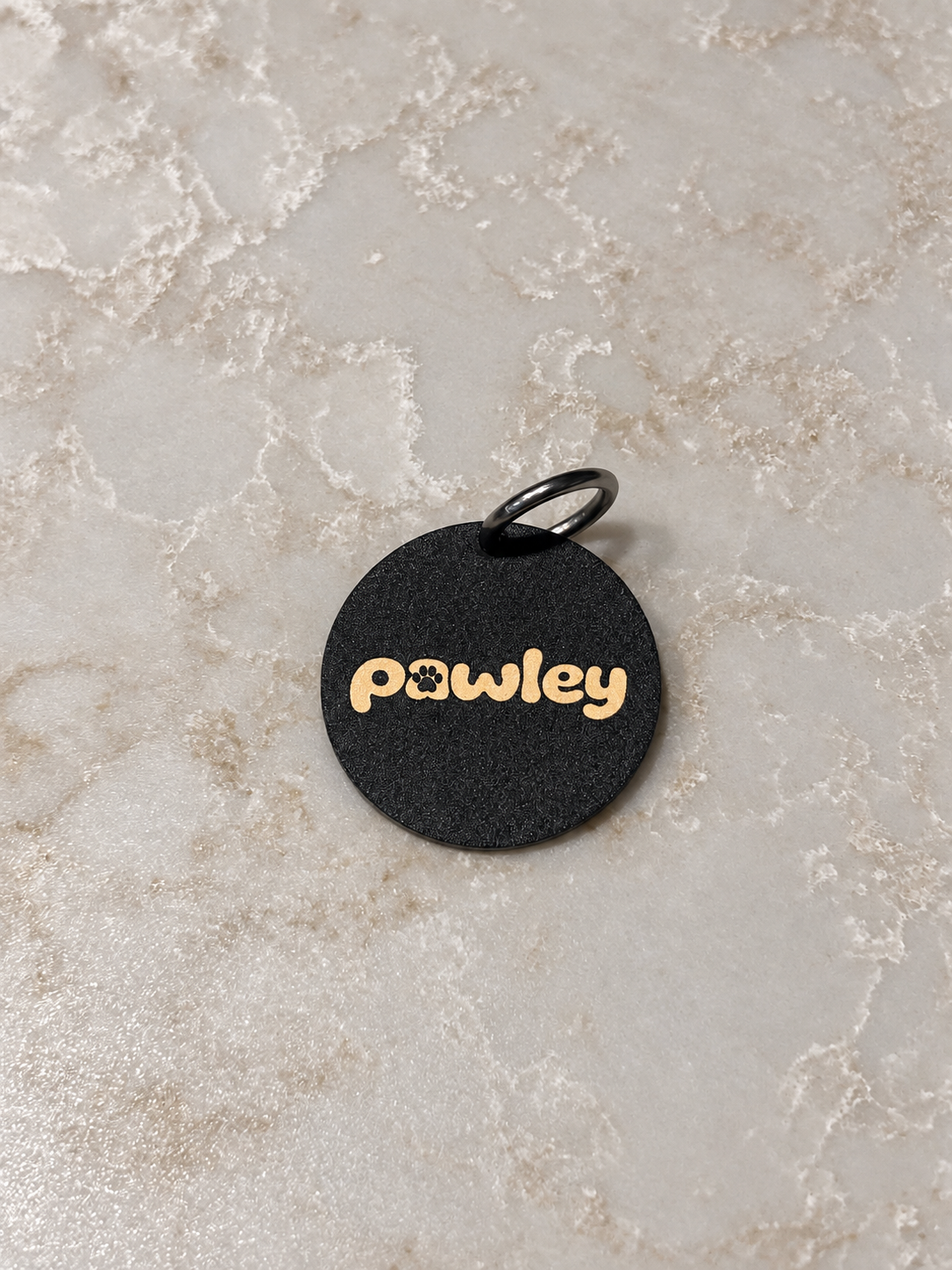 Лицевая сторона жетона pawley с логотипом